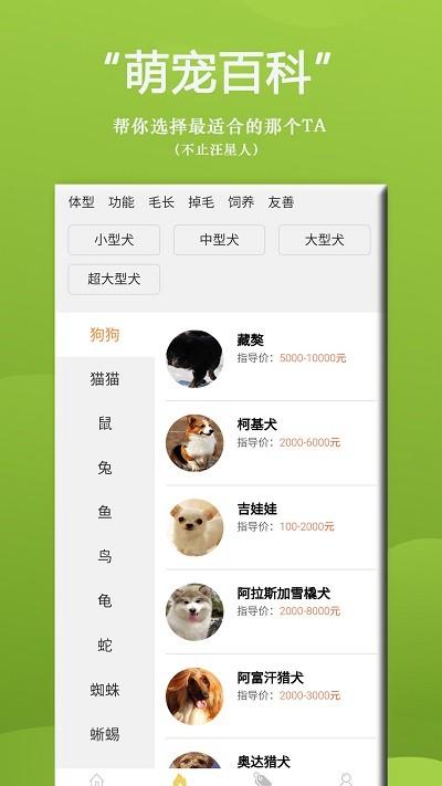 狗狗bing商城官方版下载,狗狗bing商城,购物app,狗狗服务app